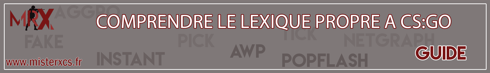 Lexique CS:GO